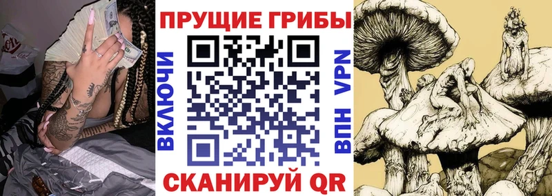 Галлюциногенные грибы MAGIC MUSHROOMS  KRAKEN ССЫЛКА  Великий Новгород  магазин продажи наркотиков 