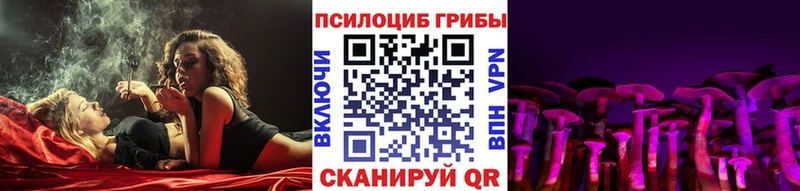 Галлюциногенные грибы Cubensis Великий Новгород